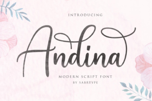 Andina Script: A Modern Typeface That Elevates Brand Identity