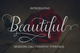Beautiful Script Font: A Modern Touch for Digital Branding