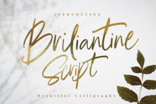 Briliantine Script: A Premium Typeface for Editorial Elegance