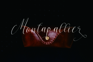 Montapallier Script: A Premium Font for Campaign Creatives