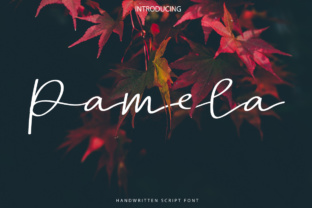 Pamela Script Font Review: A Designer’s Take on Elegance and Versatility