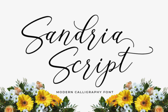 Sandria Script: A Premium Font for Editorial Design